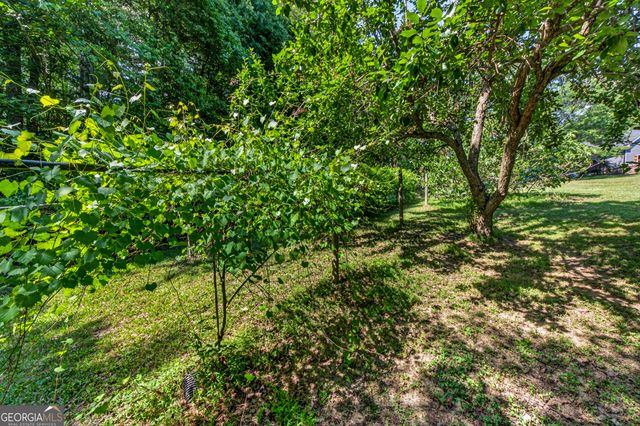 135 Canters Run, Homer, GA 30547