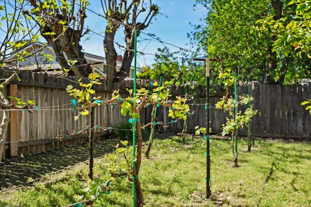 404 Cabrillo Ave, Davis, CA 95616