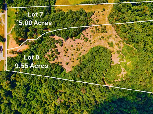 4200 Shiloh Canaan Rd, Palmyra, TN 37142