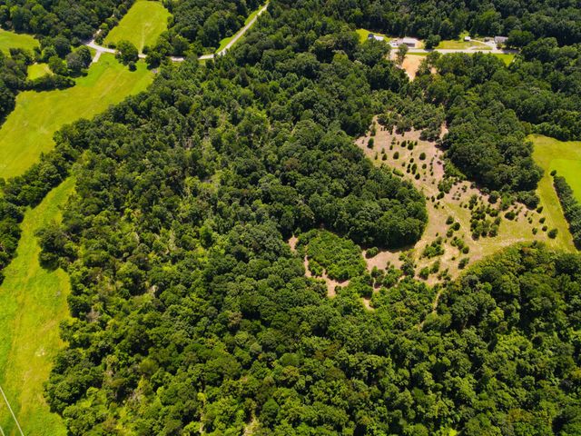 4200 Shiloh Canaan Rd, Palmyra, TN 37142