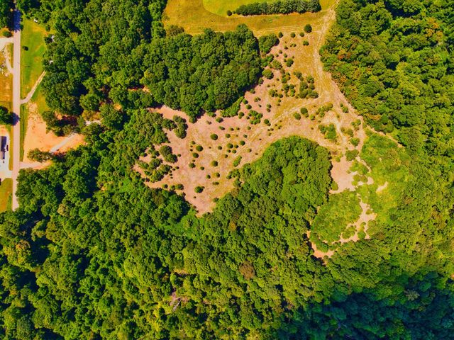 4200 Shiloh Canaan Rd, Palmyra, TN 37142