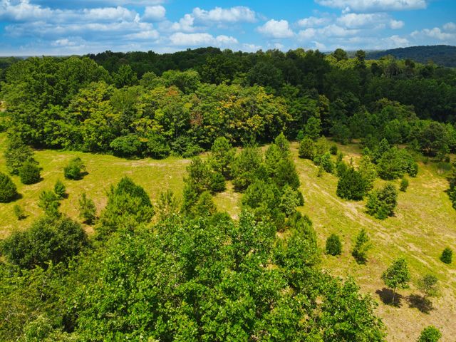 4200 Shiloh Canaan Rd, Palmyra, TN 37142