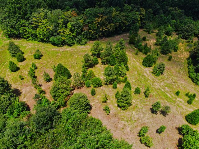 4200 Shiloh Canaan Rd, Palmyra, TN 37142