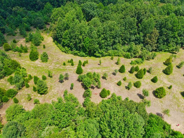 4200 Shiloh Canaan Rd, Palmyra, TN 37142