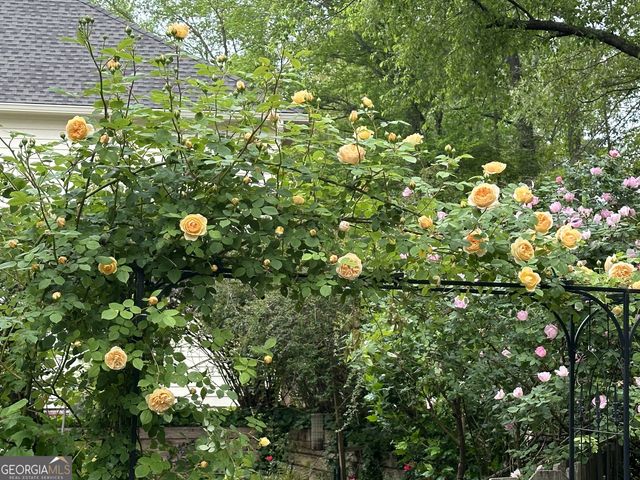 6084 Fairlong Point NW, Acworth, GA 30101