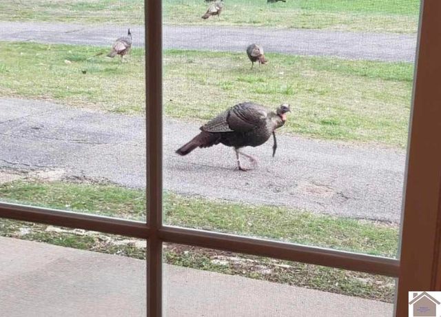 305 Simpkins Ln, Mayfield, KY 42066