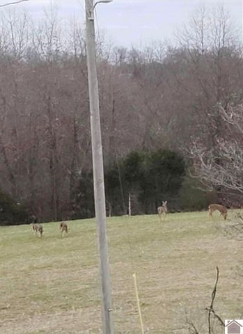 305 Simpkins Ln, Mayfield, KY 42066