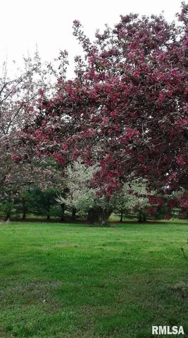 1100 MOORE Street, Eldorado, IL 62930