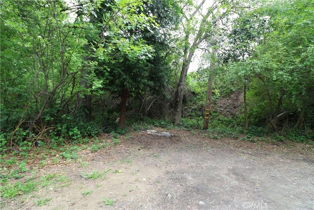 13992 Irving Lane, Lytle Creek, CA 92358
