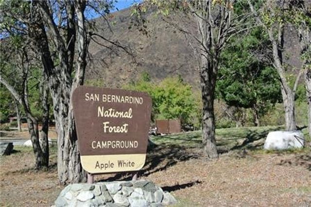 13992 Irving Lane, Lytle Creek, CA 92358