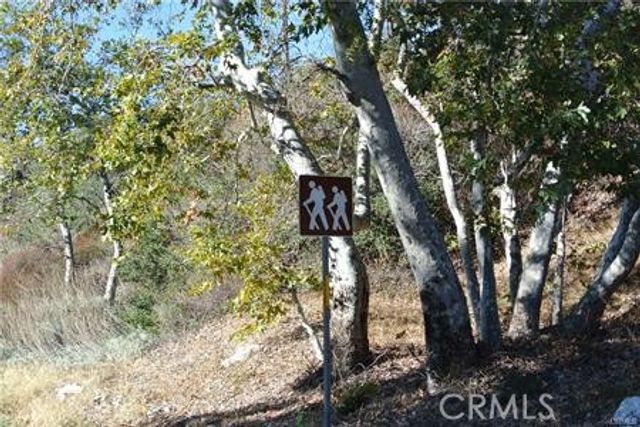 13992 Irving Lane, Lytle Creek, CA 92358