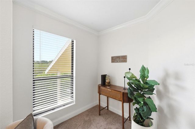 455 ALT 19 S 216, Palm Harbor, FL 34683