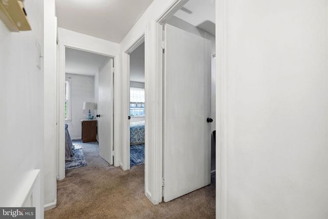 5141 BRADFIELD DR, Annandale, VA 22003