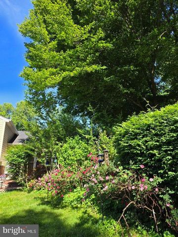 5141 BRADFIELD DR, Annandale, VA 22003