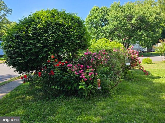 5141 BRADFIELD DR, Annandale, VA 22003