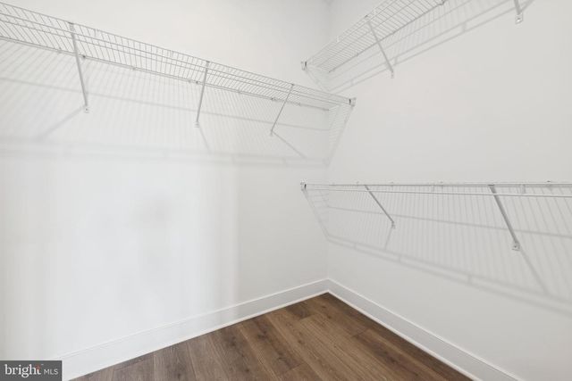 12658 DRUM CREEK WAY, Selbyville, DE 19975