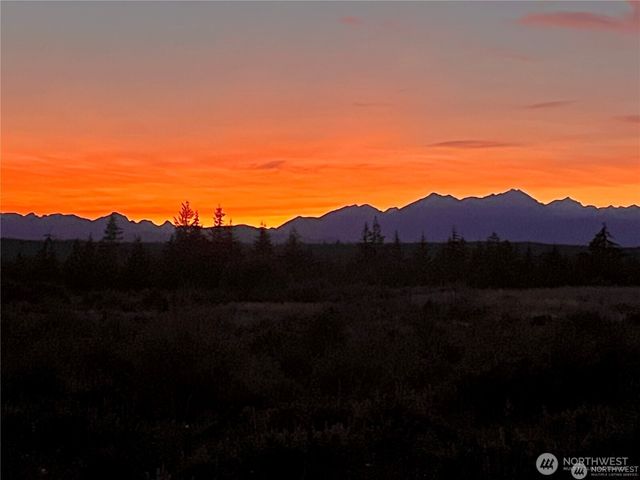 381 E Benson Ridge Road, Grapeview, WA 98546