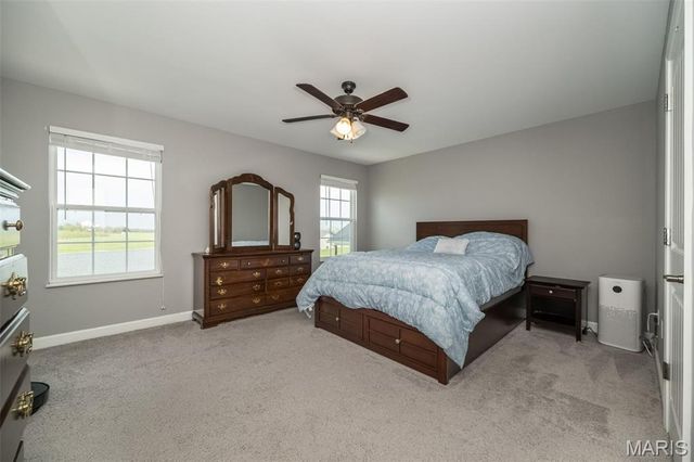 1338 Orchard Lakes Circle, Belleville, IL 62220