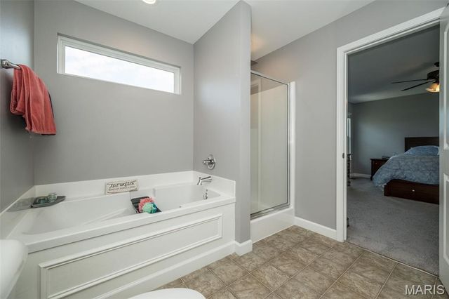 1338 Orchard Lakes Circle, Belleville, IL 62220