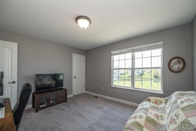 1338 Orchard Lakes Circle, Belleville, IL 62220