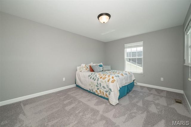 1338 Orchard Lakes Circle, Belleville, IL 62220