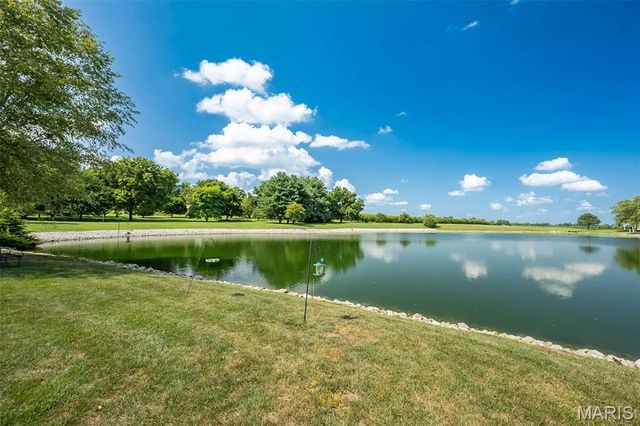 1338 Orchard Lakes Circle, Belleville, IL 62220