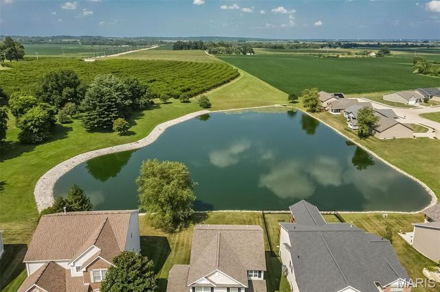 1338 Orchard Lakes Circle, Belleville, IL 62220