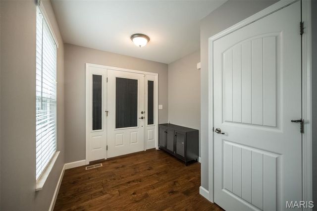 1338 Orchard Lakes Circle, Belleville, IL 62220