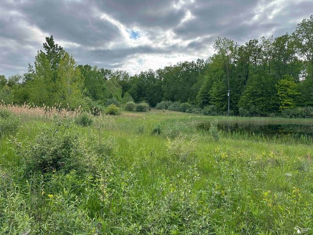 3886 Douglas Road, Ida, MI 48140