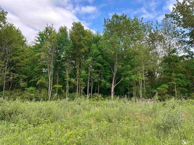 3886 Douglas Road, Ida, MI 48140