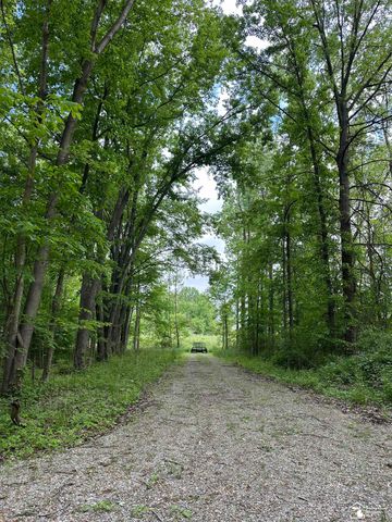 3886 Douglas Road, Ida, MI 48140