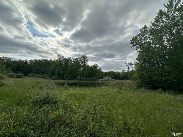 3886 Douglas Road, Ida, MI 48140