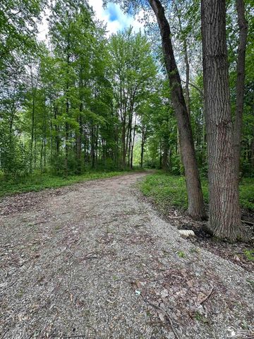 3886 Douglas Road, Ida, MI 48140