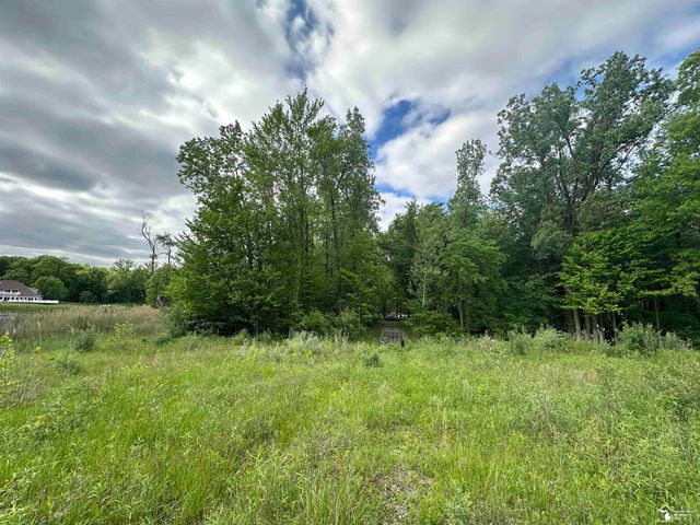 3886 Douglas Road, Ida, MI 48140