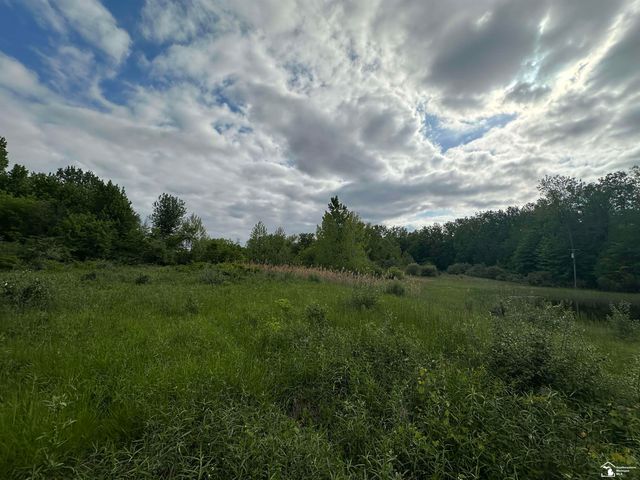 3886 Douglas Road, Ida, MI 48140