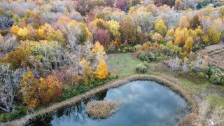 3886 Douglas Road, Ida, MI 48140