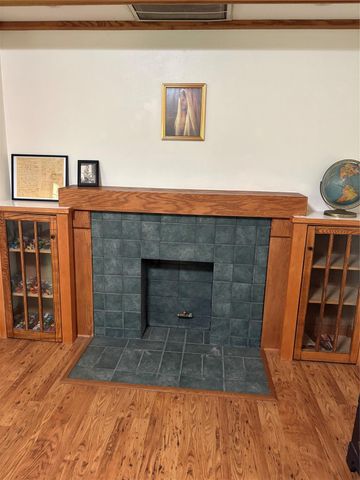 165 Ivory Tower, Goodrich, TX 77335