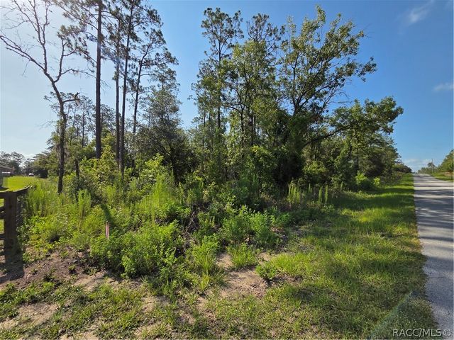 LOT 37 Hunter Hill Avenue, Dunnellon, FL 34431