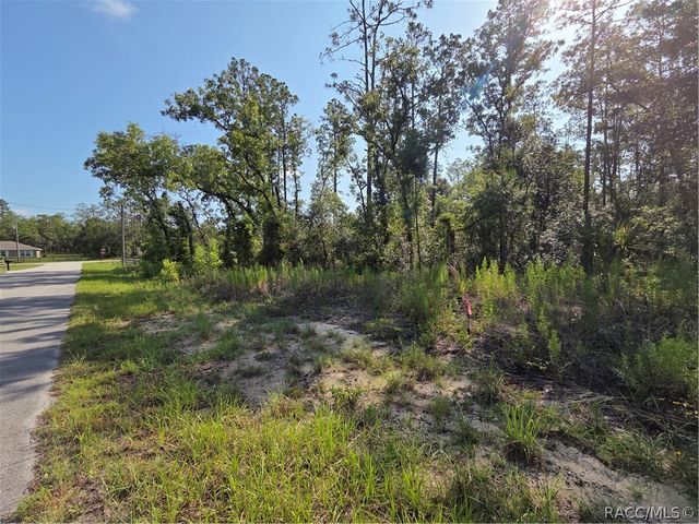 LOT 37 Hunter Hill Avenue, Dunnellon, FL 34431