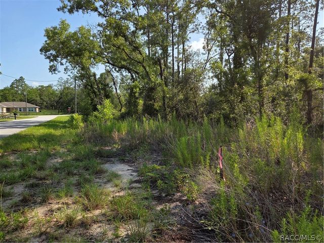 LOT 37 Hunter Hill Avenue, Dunnellon, FL 34431