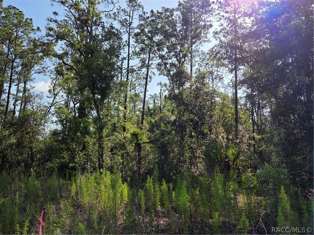 LOT 37 Hunter Hill Avenue, Dunnellon, FL 34431