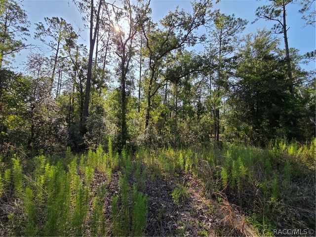 LOT 37 Hunter Hill Avenue, Dunnellon, FL 34431