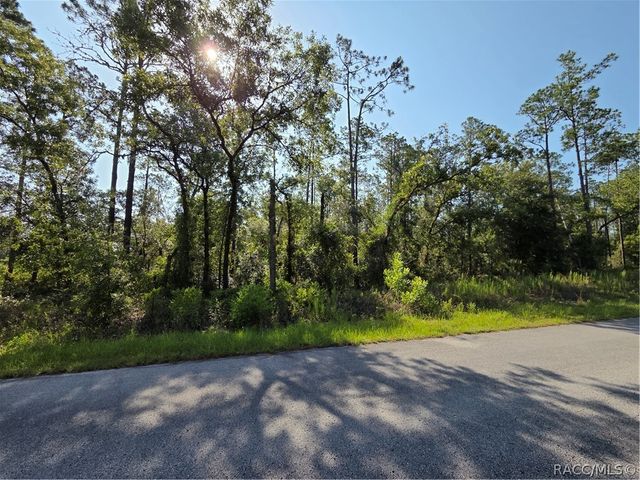 LOT 37 Hunter Hill Avenue, Dunnellon, FL 34431