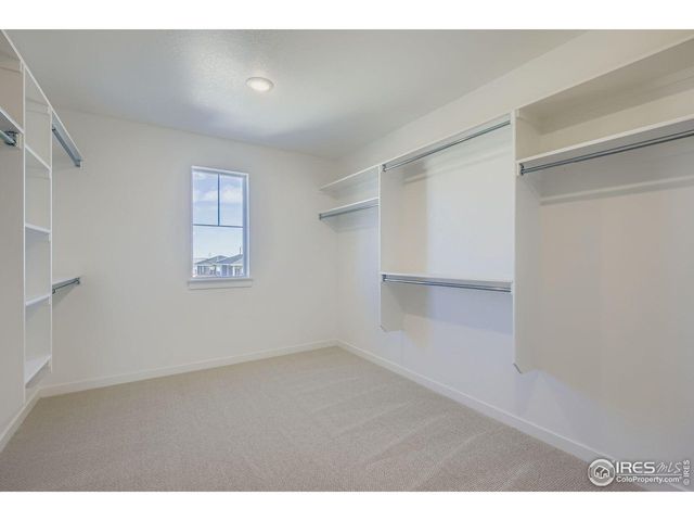 1833 Flourish Dr, Windsor, CO 80550