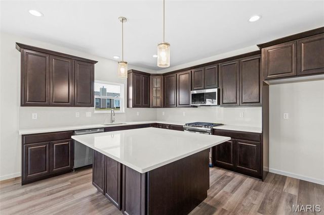 234 Windmill View Drive, Wentzville, MO 63385