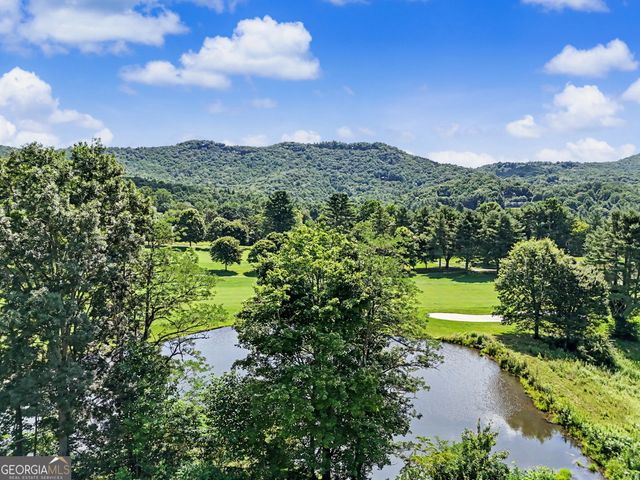 48 Little Bear Trail, Sky Valley, GA 30537