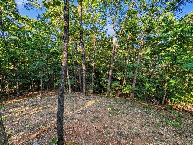 4 Ely Lane, Bella Vista, AR 72714
