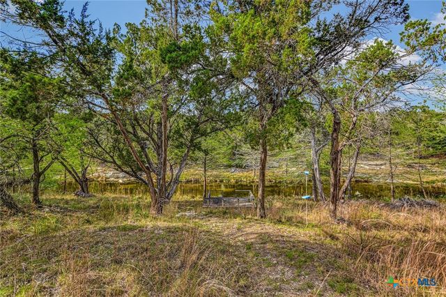707 Deer Lake Road, Wimberley, TX 78676