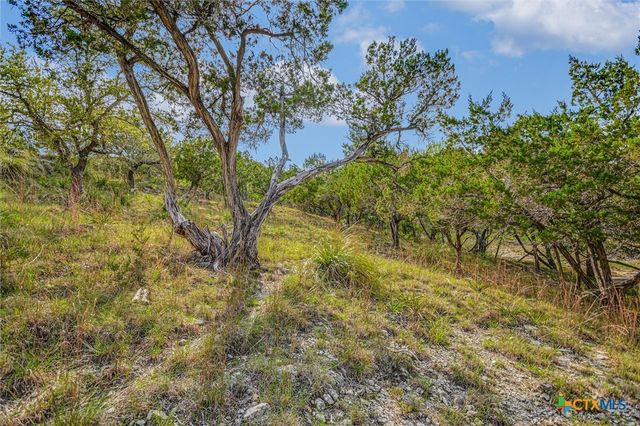 707 Deer Lake Road, Wimberley, TX 78676