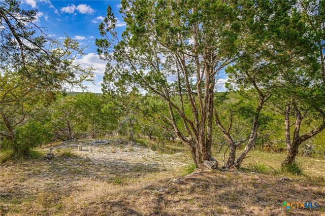 707 Deer Lake Road, Wimberley, TX 78676